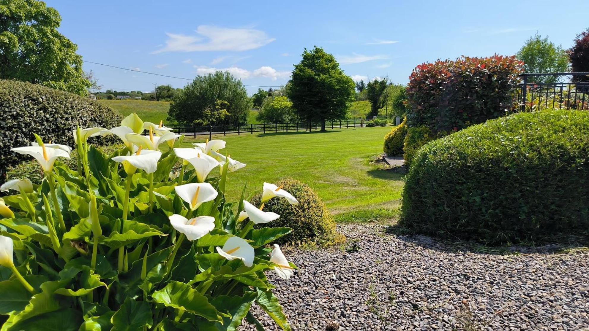 Swinford Country House Екстериор снимка