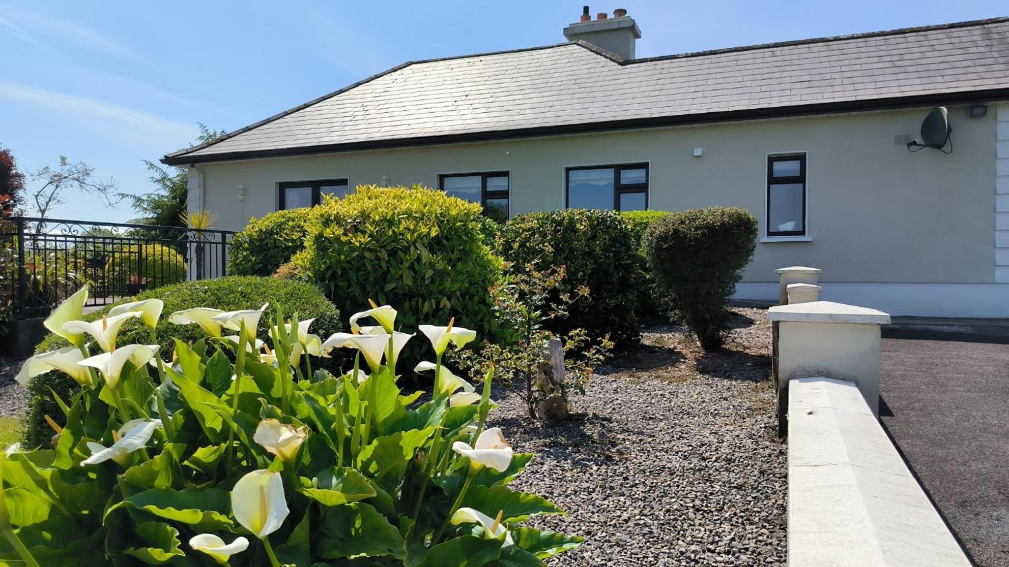 Swinford Country House Екстериор снимка